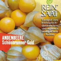 Varietà Rara Di Physalis Peruviana