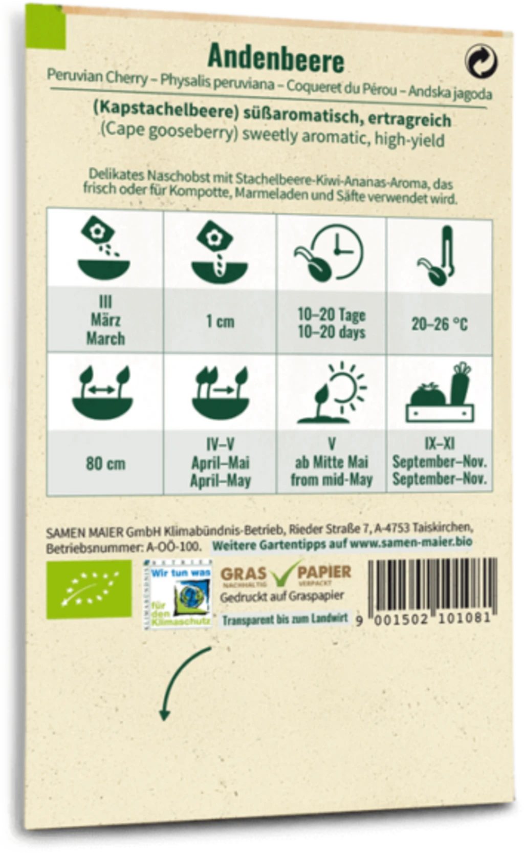 Alchechengio Peruviano Bio 2 Alchechengio Peruviano Bio - immagine 2