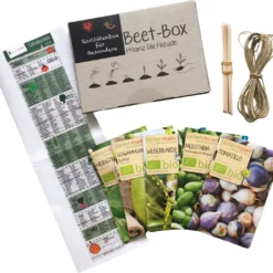 Bio Beet-Box - La Scatola Delle Rarità 8 Bio Beet-Box - La Scatola Delle Rarità -Offerta Economica Verdi Giard samen maier bio beet box la scatola delle rarita 1 set 1033137 it