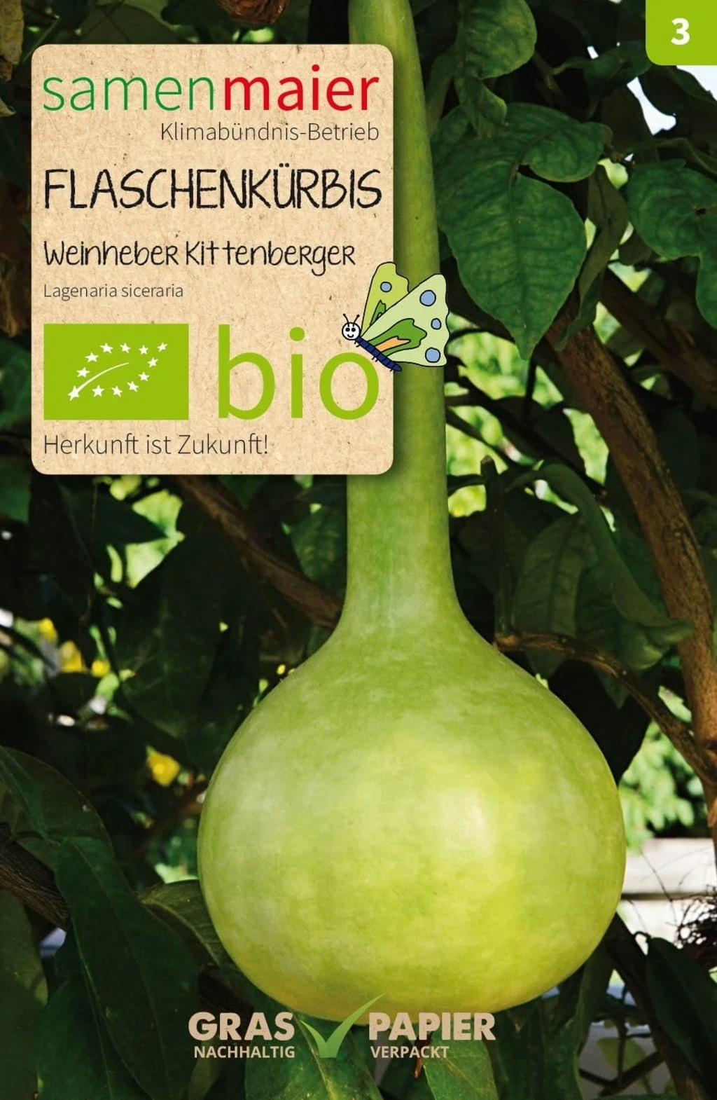 Bio Beet-Box - La Scatola Delle Rarità 6 Bio Beet-Box - La Scatola Delle Rarità - immagine 6