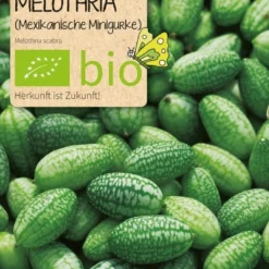 Bio Beet-Box - La Scatola Delle Rarità