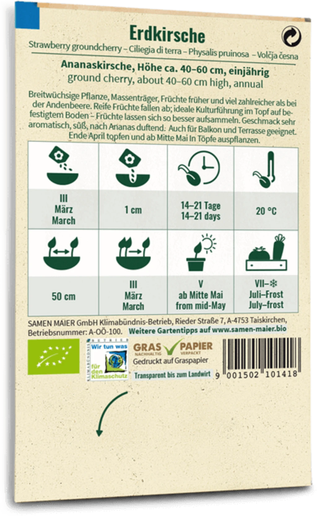 Ciliegia Di Terra Bio 2 Ciliegia Di Terra Bio - immagine 2