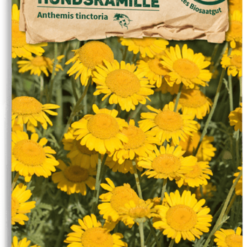 Fiori Selvatici Bio - Camomilla Dei Tintori