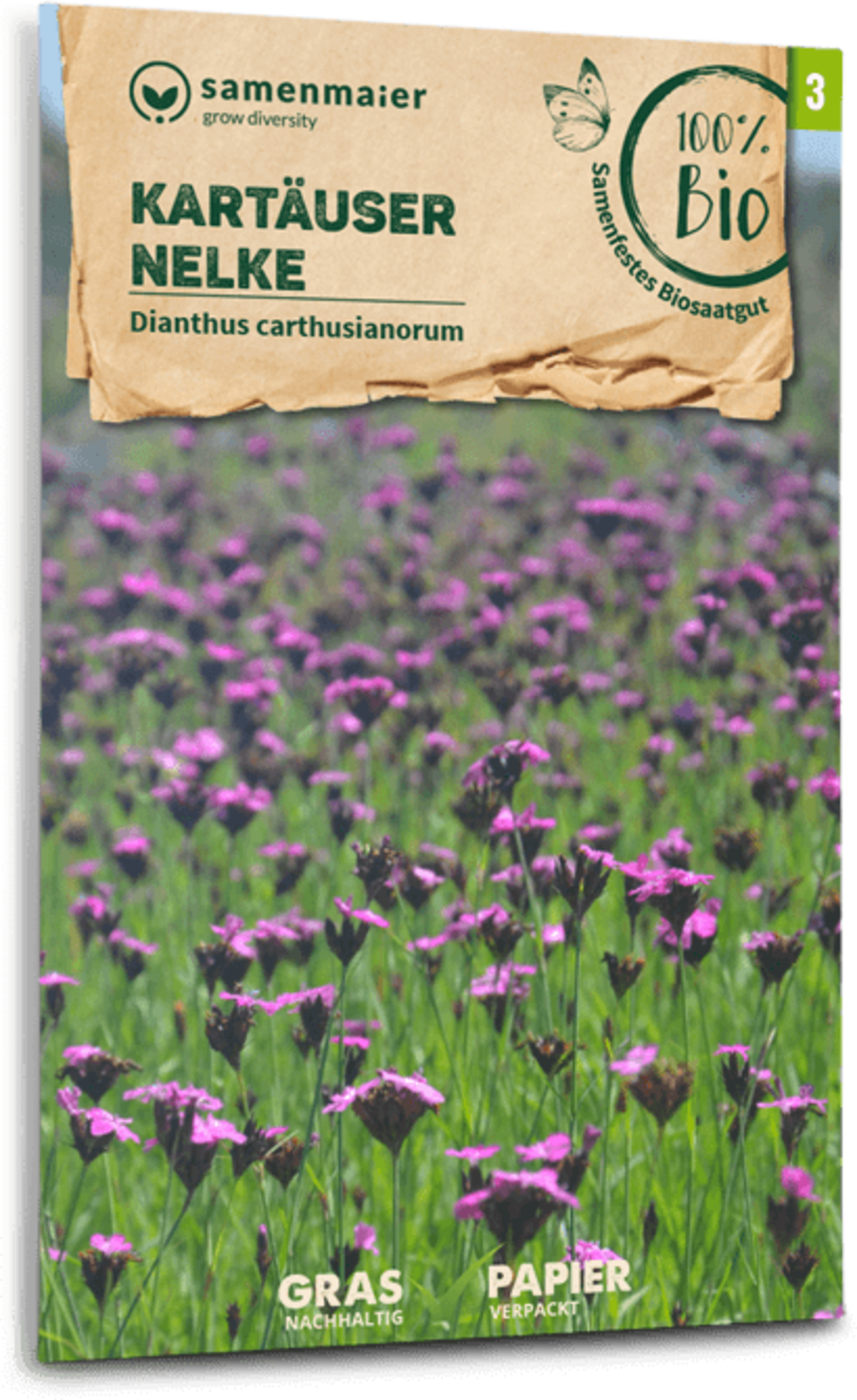 Fiori Selvatici Bio - Garofanino Dei Certosini 2 Fiori Selvatici Bio - Garofanino Dei Certosini - immagine 2