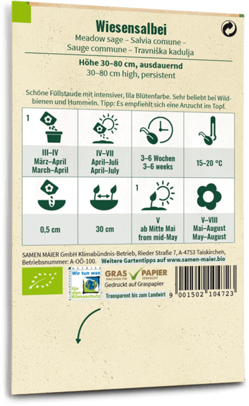 Fiori Selvatici Bio - Salvia Comune 1 Fiori Selvatici Bio - Salvia Comune