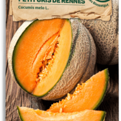 Melone Bio - Petit Gris De Rennes