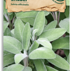 Salvia Bio