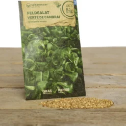 Set Di Semi Bio Per Giardino Invernale - Humphrey Snowgart