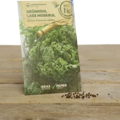 Set Di Semi Bio Per Giardino Invernale - Humphrey Snowgart -Offerta Economica Verdi Giard samen maier set di semi bio per giardino invernale humphrey snowgart 1 set 972301 it