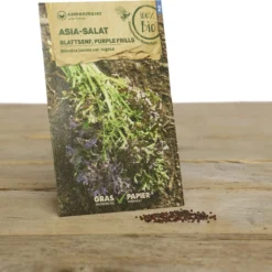 Set Di Semi Bio Per Giardino Invernale - Humphrey Snowgart -Offerta Economica Verdi Giard samen maier set di semi bio per giardino invernale humphrey snowgart 1 set 972308 it