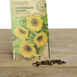 Set Di Semi Bio Per Fiori - Bibi Balkonessa -Offerta Economica Verdi Giard samen maier set di semi per fiori bio bibi balkonessa 1 set 972904 it