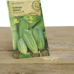 Set Per Giardino Cottage- Gitti Gartenschlau -Offerta Economica Verdi Giard samen maier set per giardino cottage bio gitti gartenschlau 1 set 973016 it