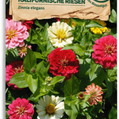 Zinnia Bio - Kalifornische Riesen