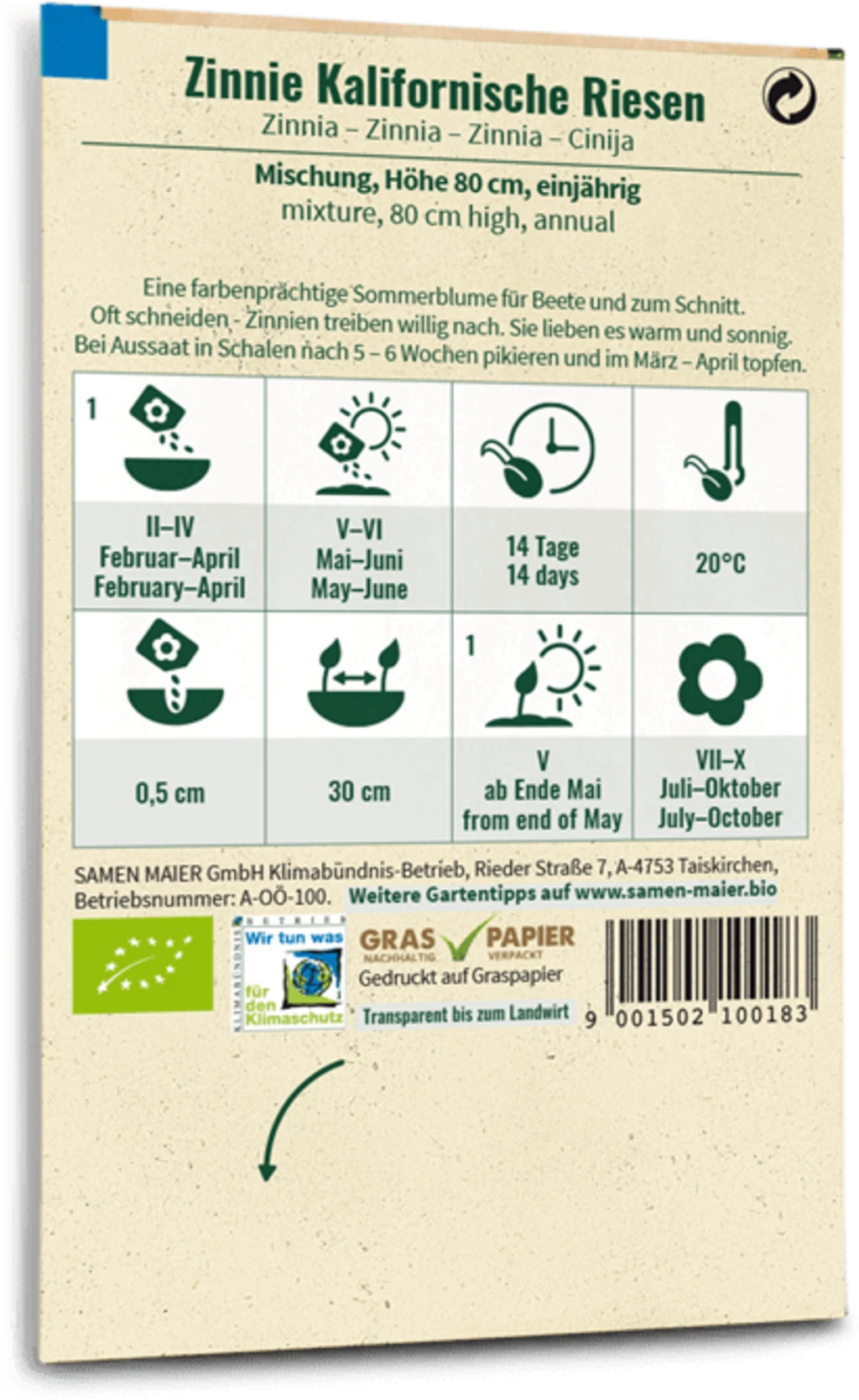 Zinnia Bio - Kalifornische Riesen 2 Zinnia Bio - Kalifornische Riesen - immagine 2