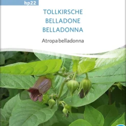 Belladonna Bio