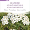 Erbe Aromatiche - Achillea Millefoglie Bio