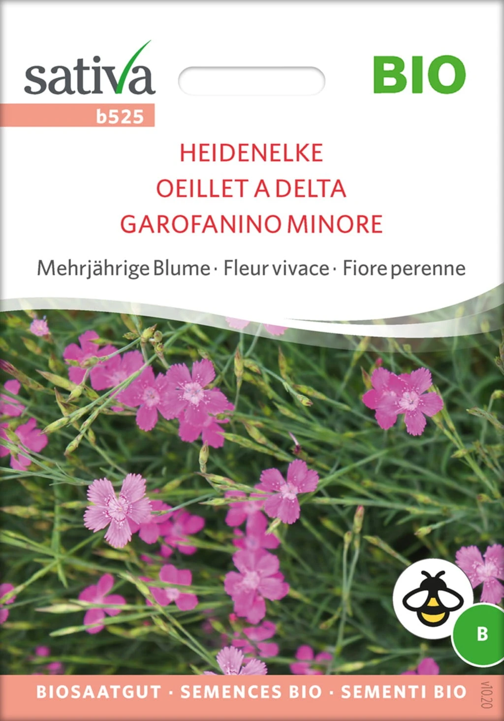 Fiore Perenne - Garofanino Minore Bio 1 Fiore Perenne - Garofanino Minore Bio