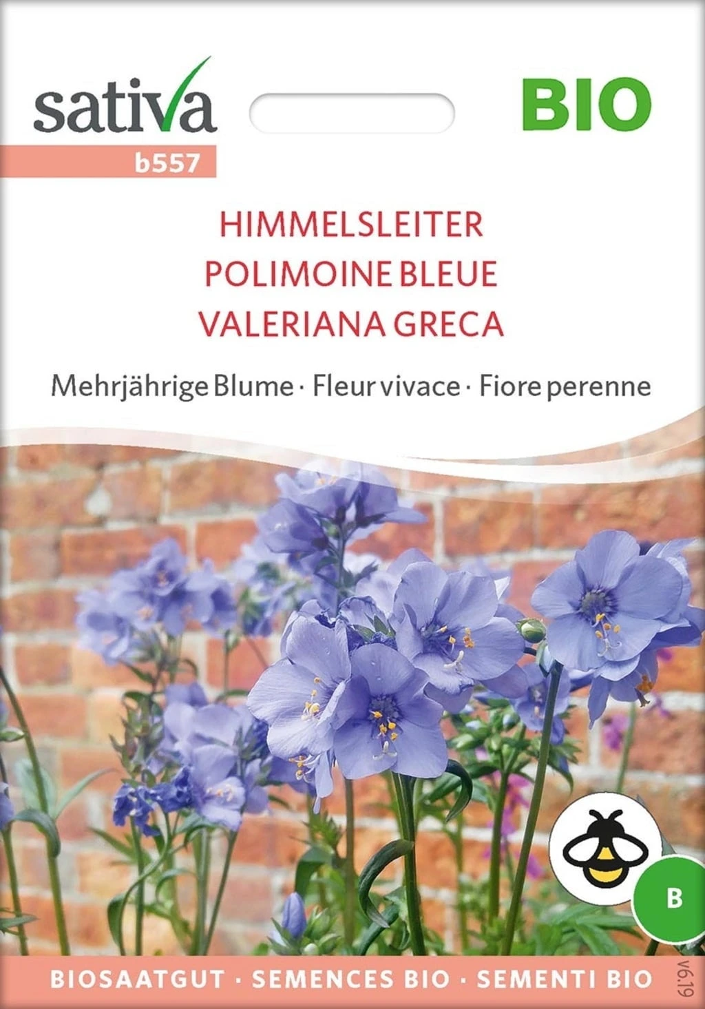 Fiore Perenne - Valeriana Greca Bio Himmelsleiter 2 Fiore Perenne - Valeriana Greca Bio Himmelsleiter - immagine 2