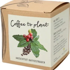 Set Di Coltivazione Pianta Del Caffè -Offerta Economica Verdi Giard set di coltivazione pianta del caffe 1 pz 663789 it