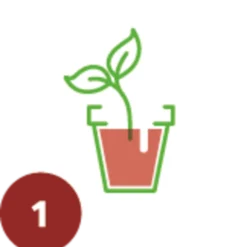 Trattamento Anti Sciaridi, 12 Pz. -Offerta Economica Verdi Giard substral naturen trattamento anti sciaridi 1684247 it