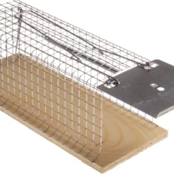 Trappola Per Ratti- 1 Entrata