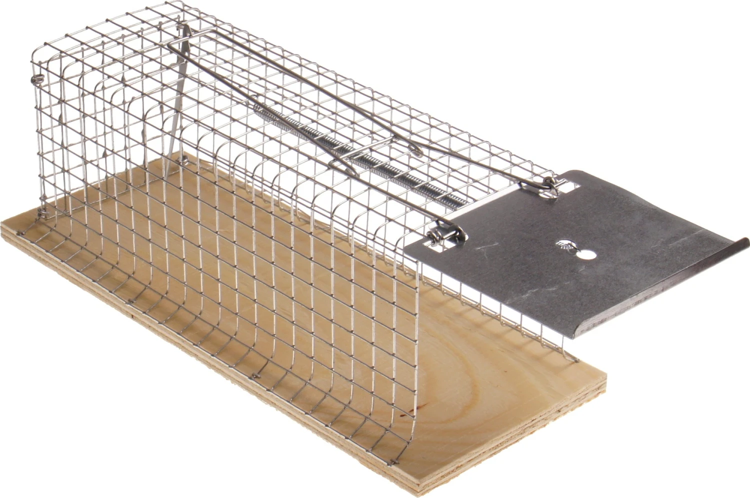 Trappola Per Ratti- 1 Entrata 1 Trappola Per Ratti- 1 Entrata