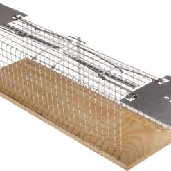 Trappola Per Ratti- 2 Entrate