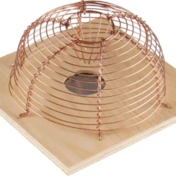 Trappola Per Topi A Cestino - 1 Ingresso