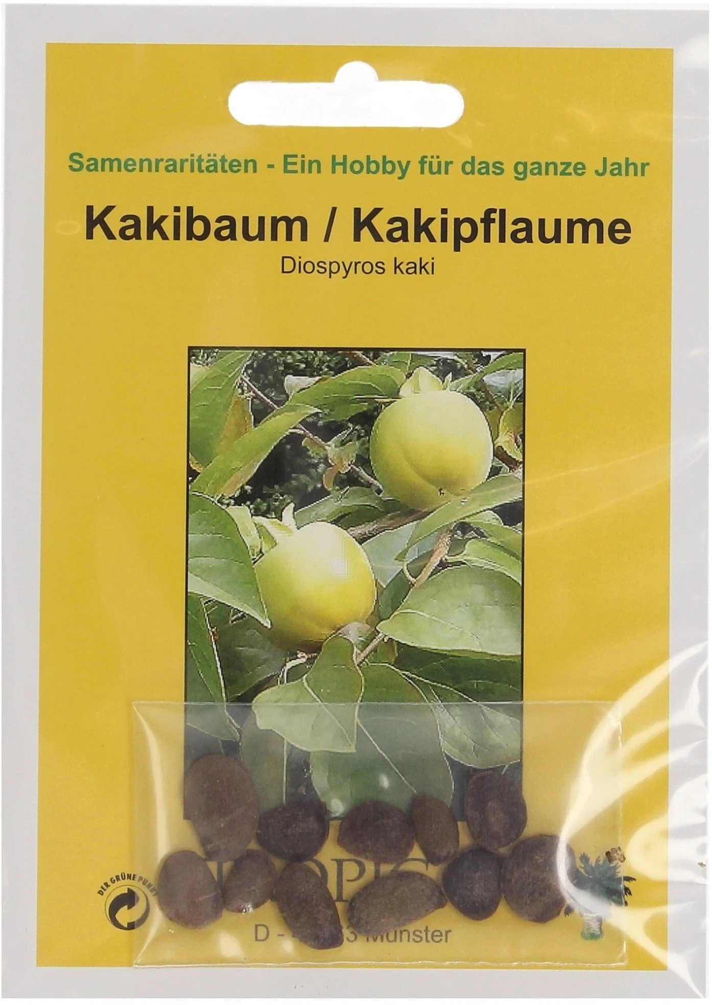 Cachi, 10 Semi 2 Cachi, 10 Semi - immagine 2