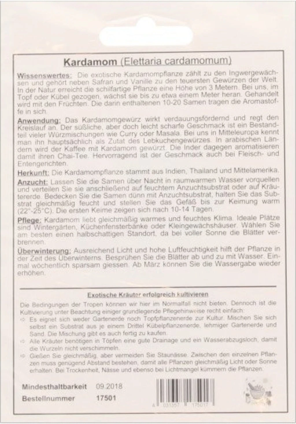 Cardamomo, 20 Semi 3 Cardamomo, 20 Semi - immagine 3