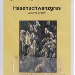 Offerta Economica Verdi Giard -Offerta Economica Verdi Giard tropica coda di lepre 100 semi 522590 it