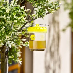 Windhager 2 Trappole Per Vespe E Mosche, 2 Pz. 8 Windhager 2 Trappole Per Vespe E Mosche, 2 Pz. -Offerta Economica Verdi Giard windhager 2 trappole per vespe e mosche 2 pz 651231 it