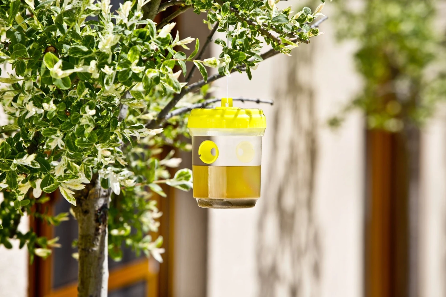 Windhager 2 Trappole Per Vespe E Mosche, 2 Pz. 4 Windhager 2 Trappole Per Vespe E Mosche, 2 Pz. - immagine 4