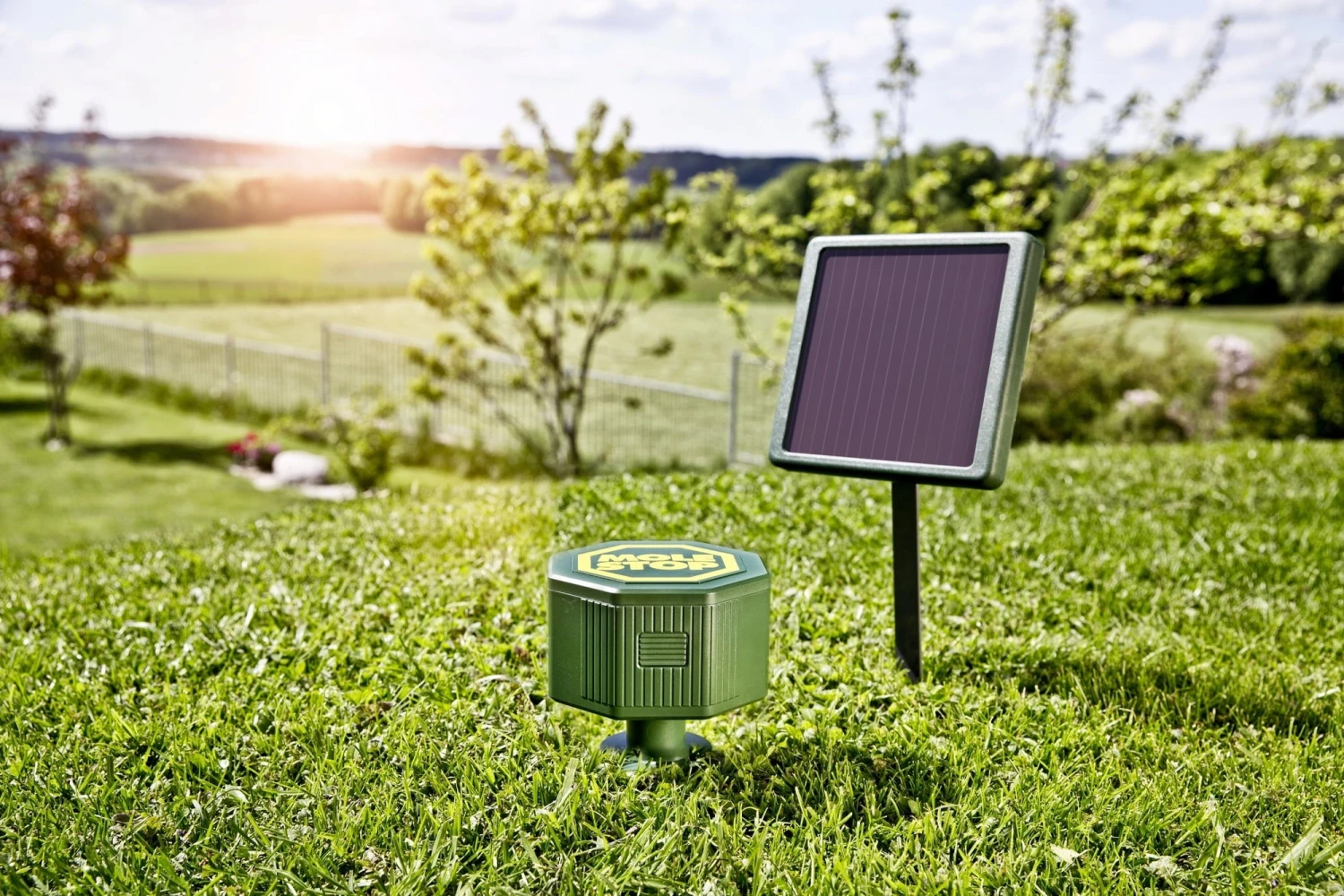 Windhager Anti Arvicole E Talpe - MOLE STOP SOLAR 3 Windhager Anti Arvicole E Talpe - MOLE STOP SOLAR - immagine 3