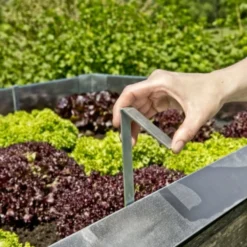 Windhager Barriera Anti Lumache - Ganci