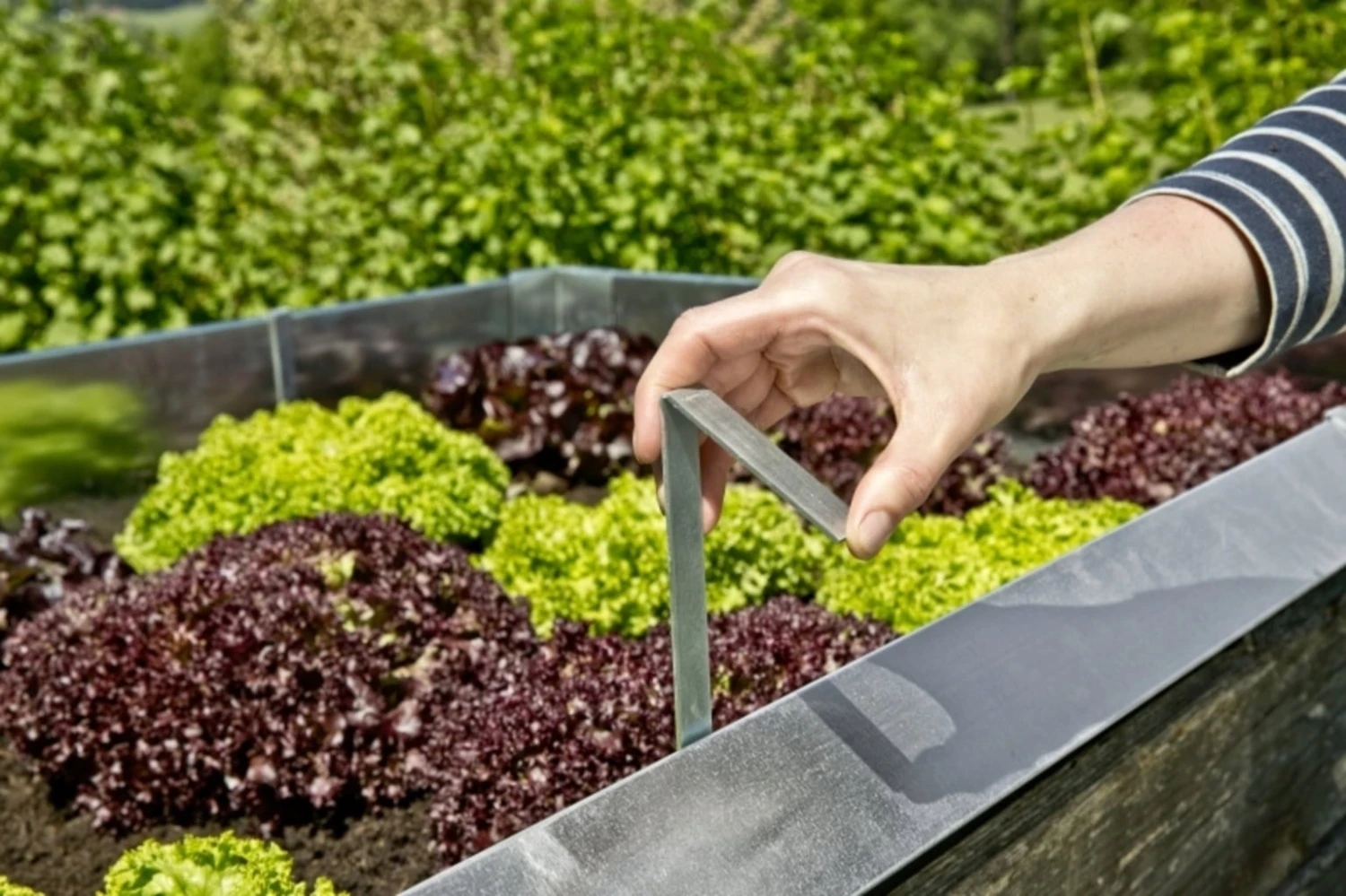 Windhager Barriera Anti Lumache - Ganci 1 Windhager Barriera Anti Lumache - Ganci