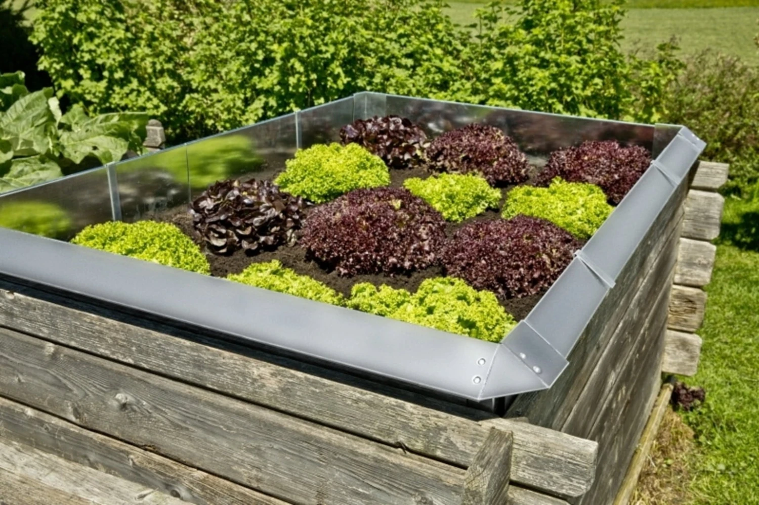 Windhager Barriera Anti Lumache - Parete 1 Windhager Barriera Anti Lumache - Parete