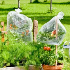 Windhager Cappuccio Per Piante Di Pomodoro 7 Windhager Cappuccio Per Piante Di Pomodoro -Offerta Economica Verdi Giard windhager cappuccio per piante di pomodoro 1 k 1166754 it