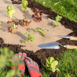 Windhager Carta Da Pacciame