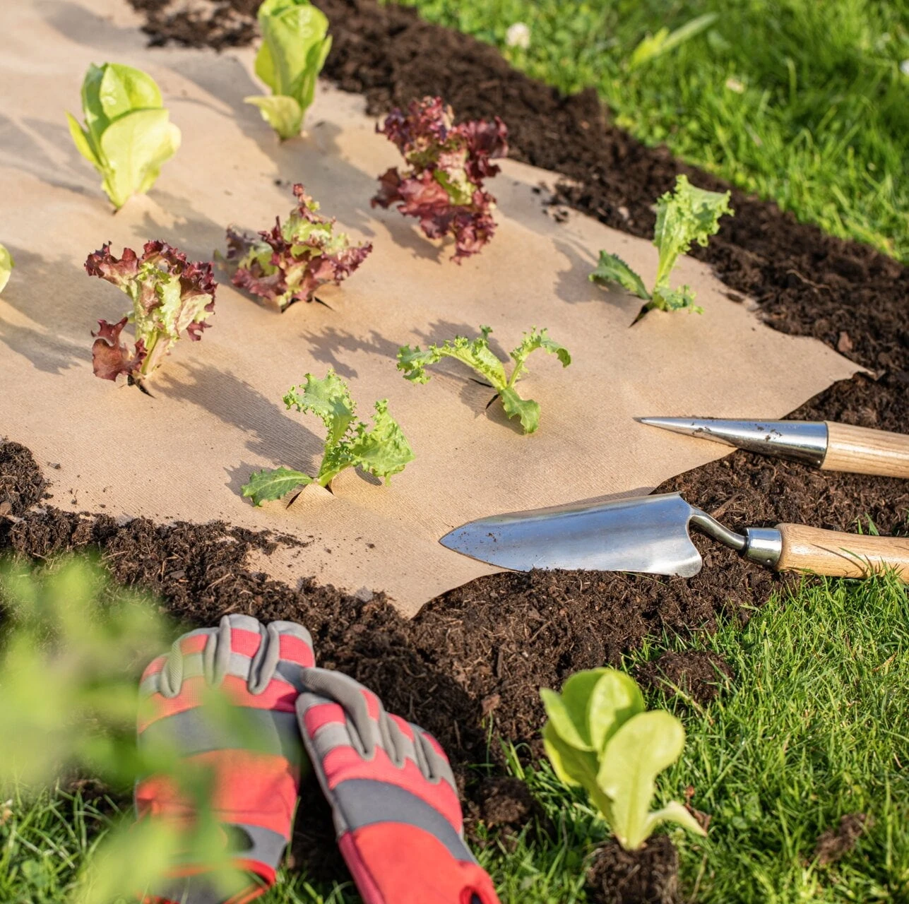 Windhager Carta Da Pacciame 1 Windhager Carta Da Pacciame