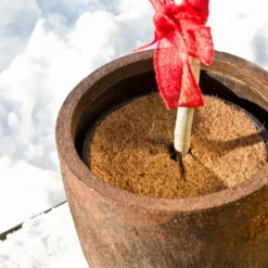 Windhager Disco Per Pacciamatura - Cocodisc, 25 Cm 9 Windhager Disco Per Pacciamatura - Cocodisc, 25 Cm -Offerta Economica Verdi Giard windhager disco per pacciamatura cocodisc 1209372 it