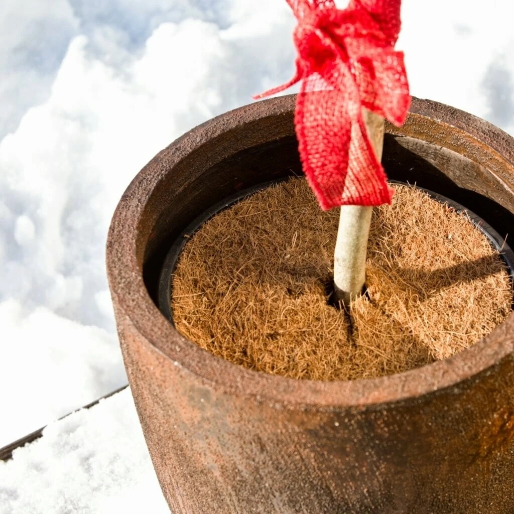 Windhager Disco Per Pacciamatura - Cocodisc, 25 Cm 4 Windhager Disco Per Pacciamatura - Cocodisc, 25 Cm - immagine 4