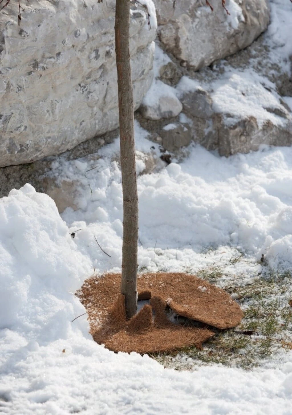 Windhager Disco Per Pacciamatura - Cocodisc, 25 Cm 2 Windhager Disco Per Pacciamatura - Cocodisc, 25 Cm - immagine 2