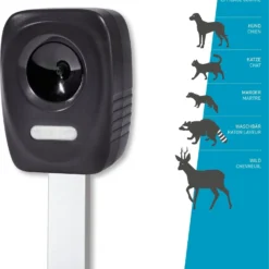 Windhager Dispositivo Anti Animali - Guard Battery Outdoor -Offerta Economica Verdi Giard windhager dispositivo anti animali guard battery outdoor 1 pz 658883 it