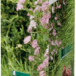 Windhager Dispositivo Anti Arvicole E Talpe - Classic -Offerta Economica Verdi Giard windhager dispositivo anti arvicole e talpe classic 1 st 1670481 it scaled