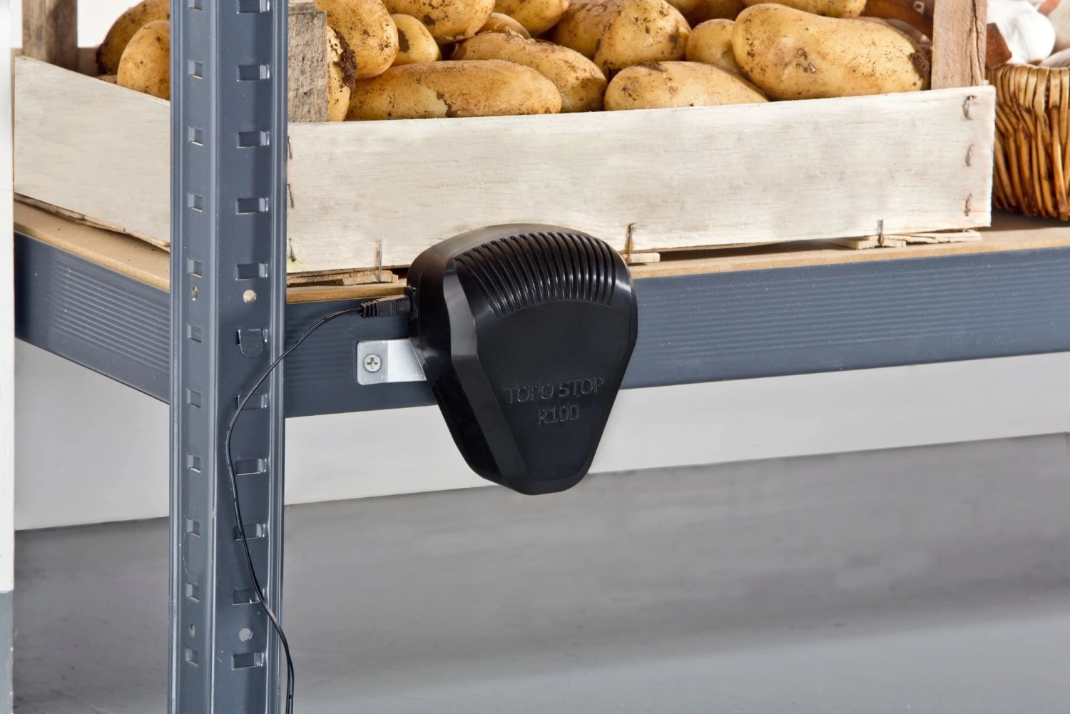 Windhager Dispositivo Anti Roditori - TOPO STOP R100 5 Windhager Dispositivo Anti Roditori - TOPO STOP R100 - immagine 5