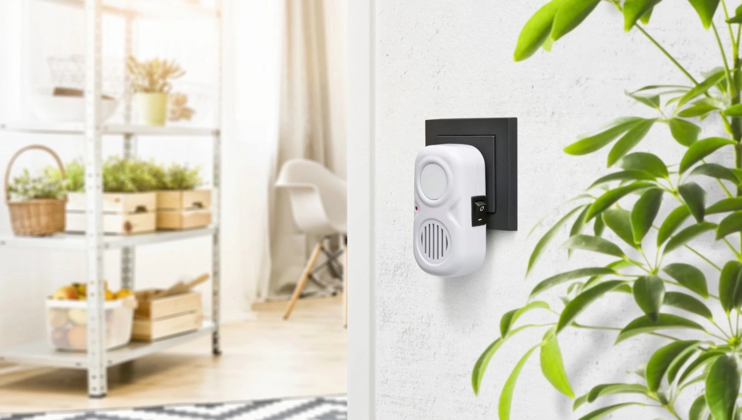 Windhager Dispositivo Anti Topo - ELECTRO COMFORT 6 Windhager Dispositivo Anti Topo - ELECTRO COMFORT - immagine 6