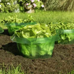 Windhager Protezione Anti-Lumache, 6 Pz. 7 Windhager Protezione Anti-Lumache, 6 Pz. -Offerta Economica Verdi Giard windhager protezione anti lumache 6 k 1209275 it