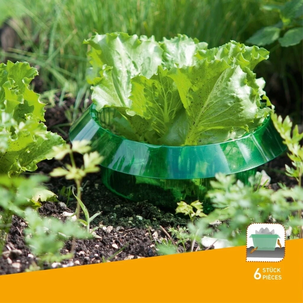 Windhager Protezione Anti-Lumache, 6 Pz. 2 Windhager Protezione Anti-Lumache, 6 Pz. - immagine 2