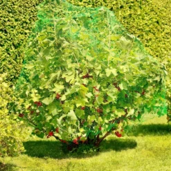 Windhager Rete Anti Uccelli - RATIONAL, 8 X 8 M -Offerta Economica Verdi Giard windhager rete anti uccelli rational 1156458 it